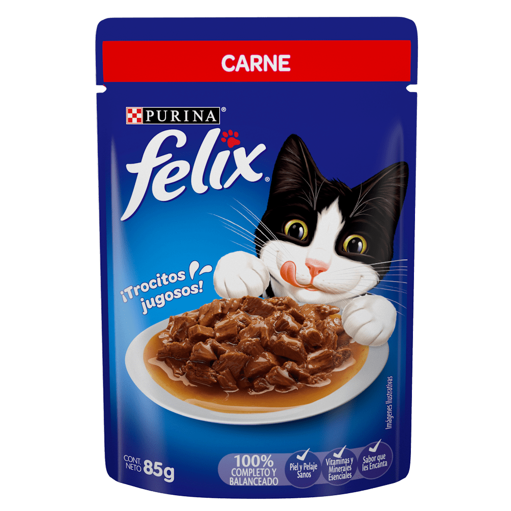 felix-carne-frente%20%281%29.png