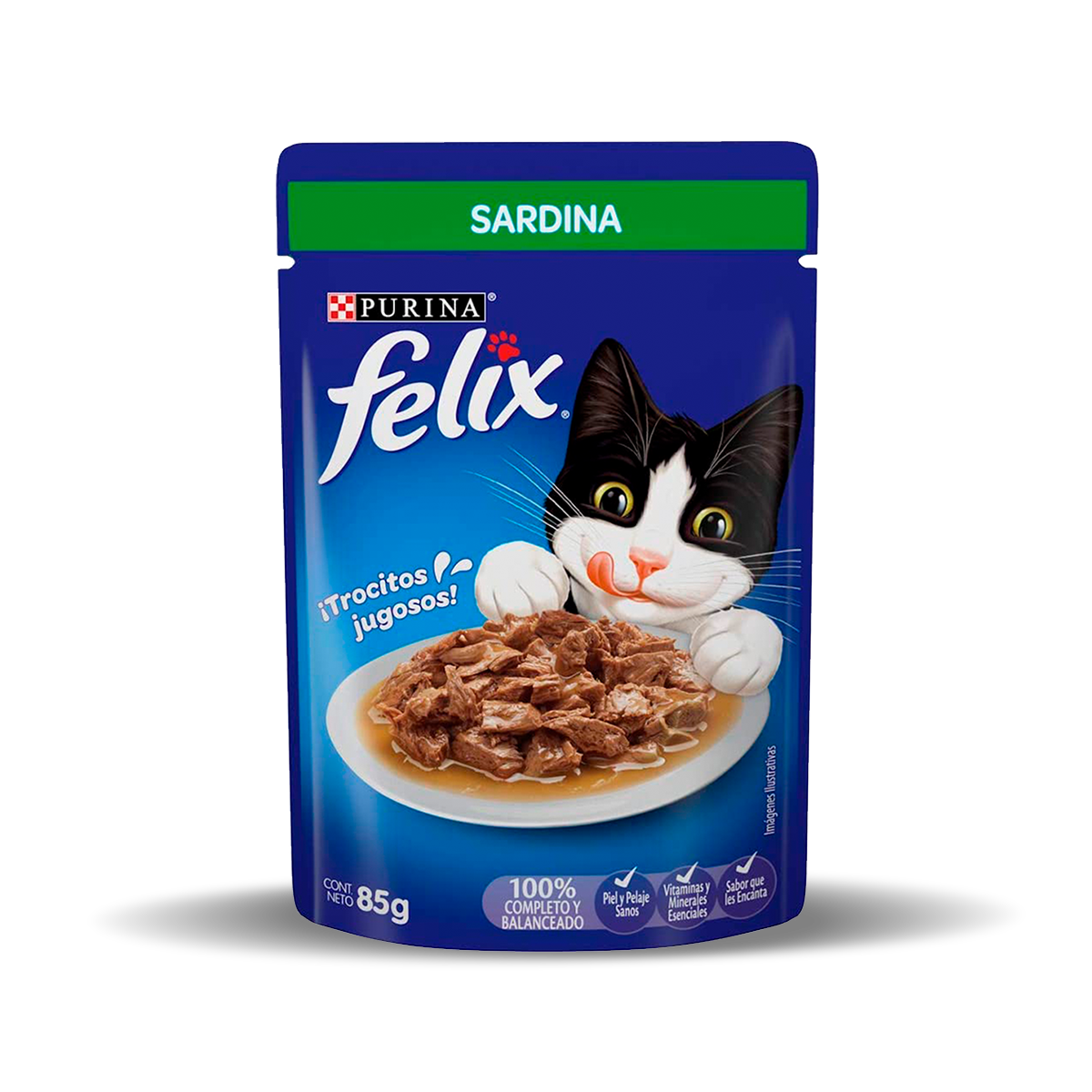 sardina_felix_0.png