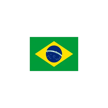 Bandera-Brasil.png.webp?itok=5rHn-Zp8