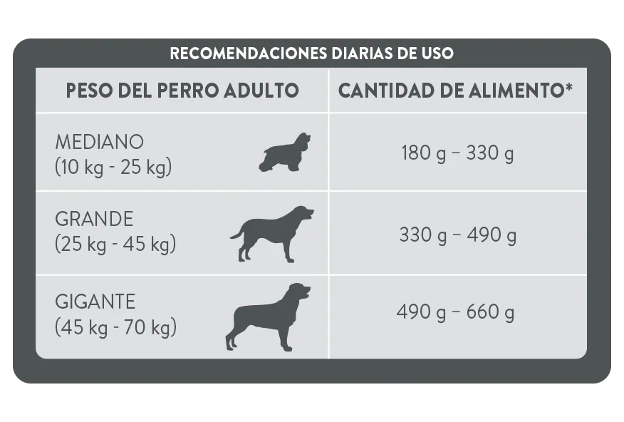 Perro_PURINA® EXL DOG ADT_MEDIANOS Y GRANDES 15 KG.png