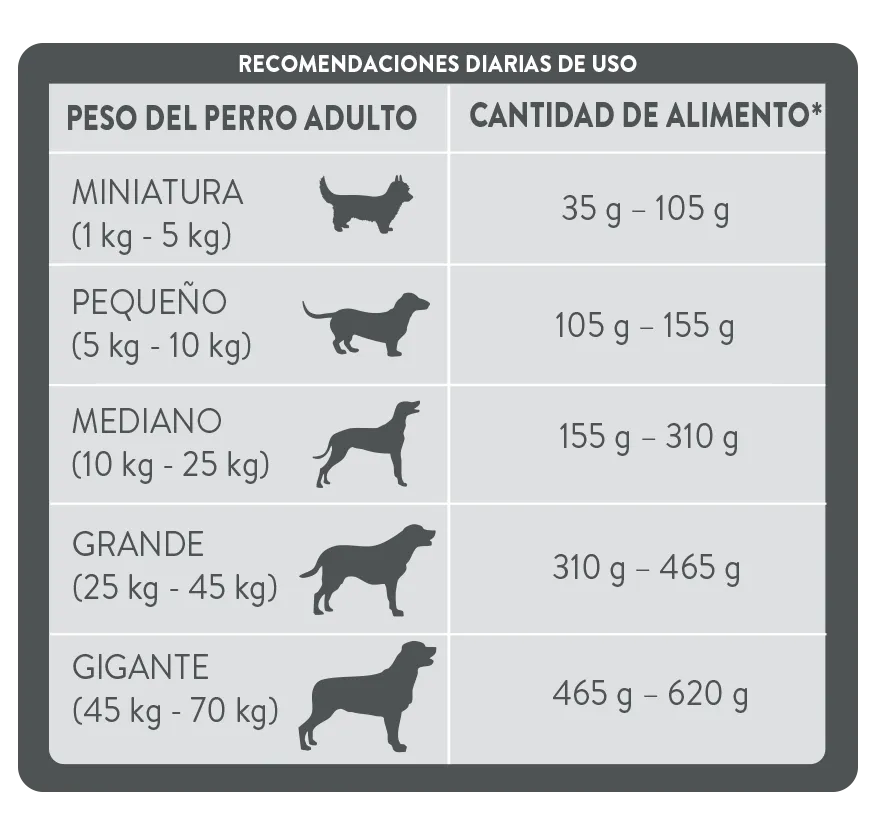 Perro_PURINA® EXL DOG SENIOR 3 KG.png